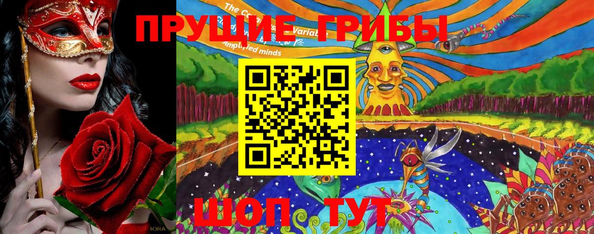 Псилоцибиновые грибы прущие грибы Гатчина