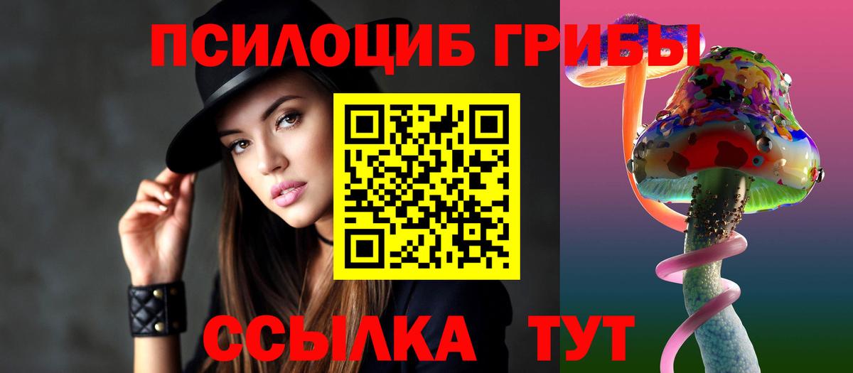 Псилоцибиновые грибы мухоморы  цена   Галлюциногенные грибы Psilocybine cubensis  Гатчина  Вход с VPN 